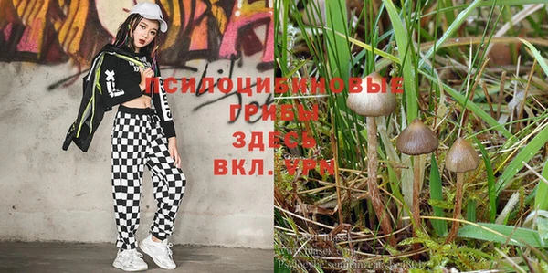 трава Сафоново