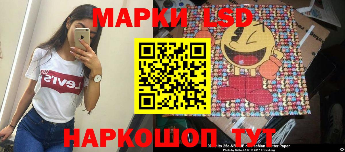 Псилоцибиновые грибы Урус-Мартан
