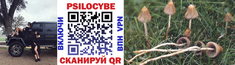 Псилоцибиновые грибы GOLDEN TEACHER  Урус-Мартан 